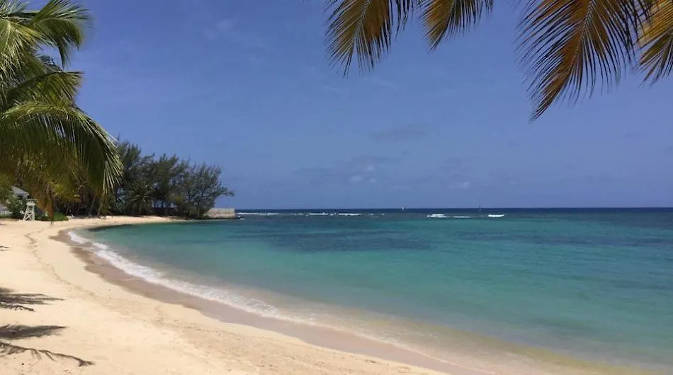 Oasis Punta Cana Hotel República Dominicana